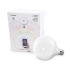 Żarówka smart LED E27 15W RGB Globe AZ3214 z serii AZzardo - Azzardo