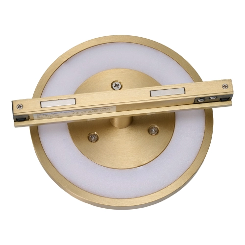 Reflektor szynowy magnetyczny złoty LED 8W CCT AZ7187 z serii CORA TRACK MAGNETIC - Azzardo