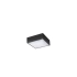 Plafon LED kwadratowy czarny 17cm AZ3257 z serii Monza II - Azzardo