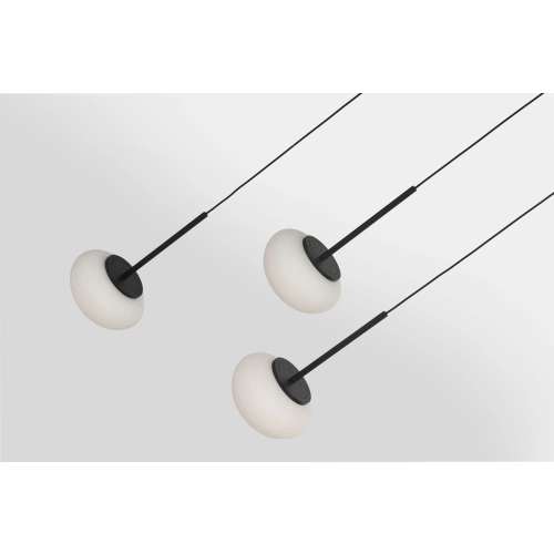 Lampa wisząca aluminiowa czarna 12-punktowa AZ6534 z serii SERENITY - Azzardo