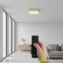 Plafon LED kwadratowy 22cm z pilotem AZ4768 z serii MONZA - Azzardo
